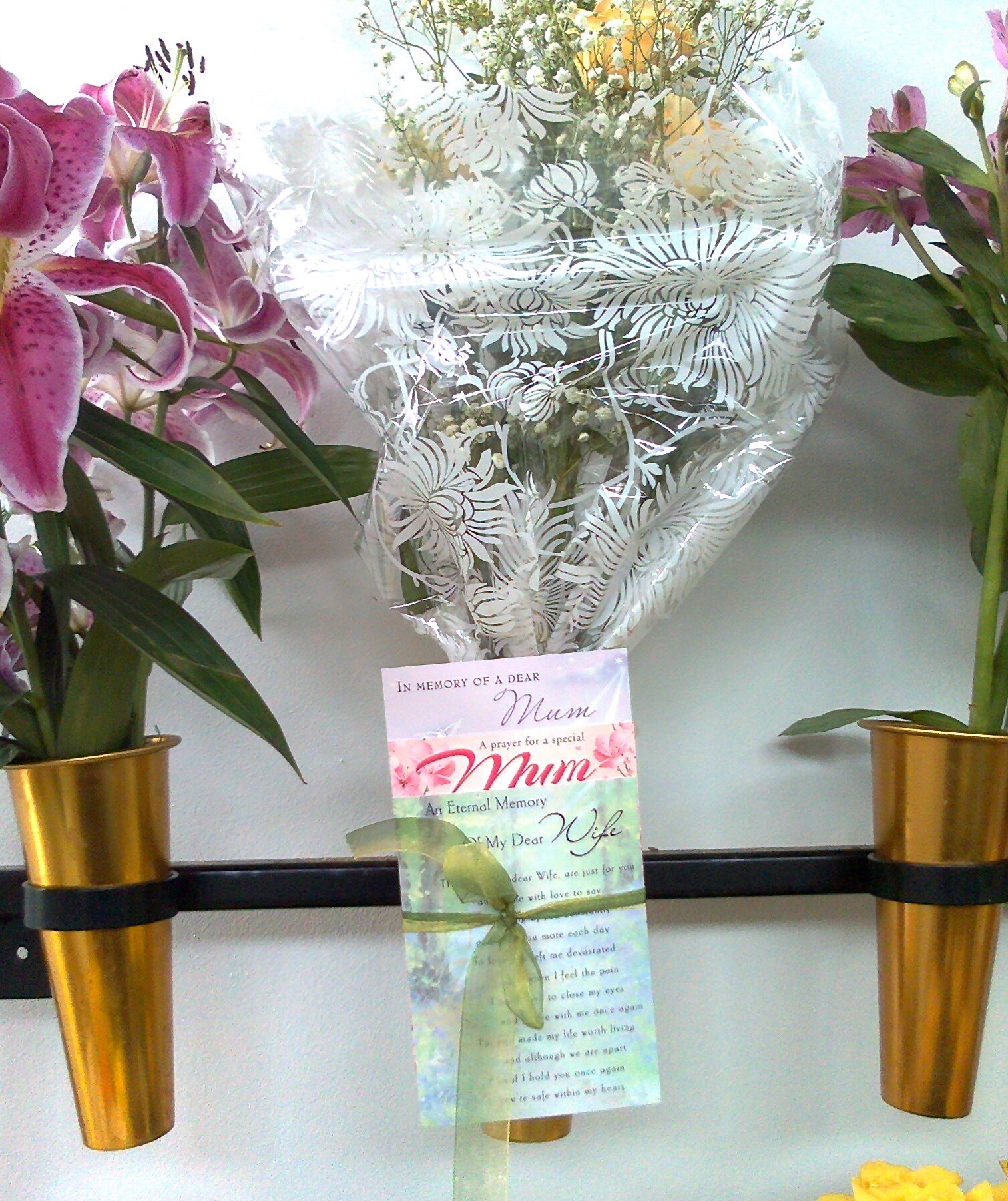 mum-11-months-photo1327