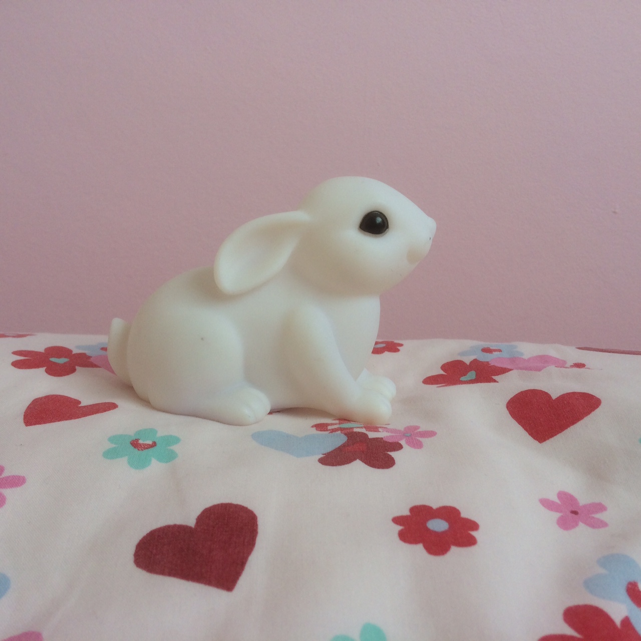 Ella's rabbit IMG_2898